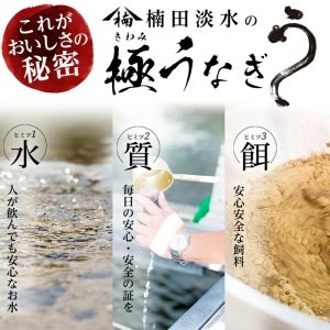 楠田の極うなぎ 蒲焼き2尾・白焼き2尾 200g以上×4尾(計800g以上) c6-071