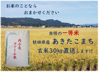 令和6年産 秋田県産あきたこまち 一等米 農家直送 玄米30kg　内小友ファーム