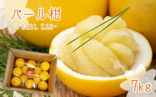 
            「 パール柑 」 約7kg 【 熊本玉名・みかん専門店より 】 | 果物 くだもの フルーツ 柑橘 柑橘類 みかん 雑柑 熊本県 玉名市 特産
          