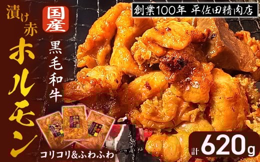 【数量限定】漬け赤ホルモン620g コリコリミックス（210g×2P）ふわふわ牛腸（200g×1P） 焼肉 BBQ 人気 ホルモン ホルモン焼き ホルモン肉 味付きホルモン 味付けホルモン 味付き肉 ほるもん 焼肉用ホルモン 冷凍ホルモン