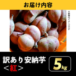 n275 《訳あり》先行予約受付中！2024年10月下旬より順次発送予定！種子島産 安納芋＜紅＞(期間限定容量6kg) 国産 安納芋 紅 種子島 芋 イモ いも さつまいも さつま芋 安納いも 野菜【