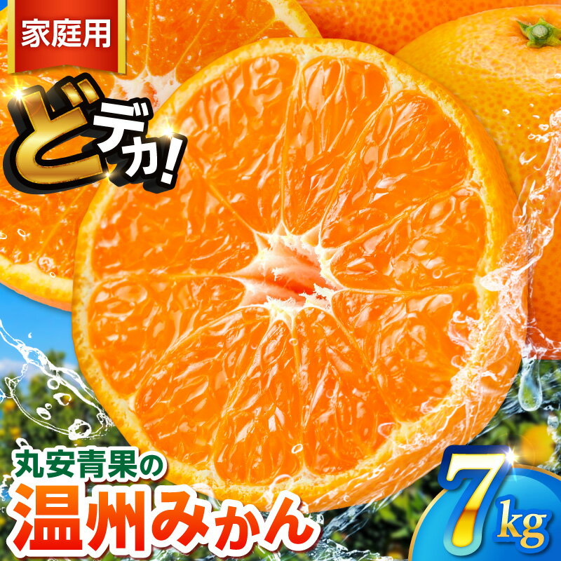 【ふるさと納税】丸安青果 訳あり どデカイ温州みかん 7kg 家庭用 │ 果物 フルーツ 柑橘 みかん 温州みかん どデカイ 7kg 訳あり 家庭用 旬 冬