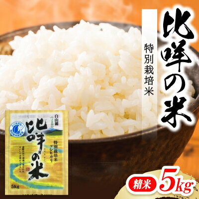 【ふるさと納税】特別栽培米　ヒメの米(白山麓コシヒカリ)精米5kg【1596858】