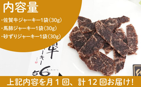 【管理栄養士お手製】＜全12回定期便＞ジャーキーセット（佐賀牛,馬肺,砂ずり） HCS010 ジャーキー ドッグフード