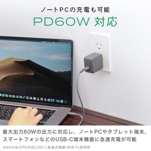 MOTTERU(モッテル) しなやかでやわらかい シリコンケーブル USB Type-C to Type-C 2m ２年保証（MOT-SCBCCG200）ラテグレージュ