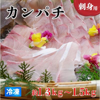 ふるさと納税 海陽町 《約1.3kg〜1.5kg》カンパチ(柵) 刺身用　冷凍でお届けします!