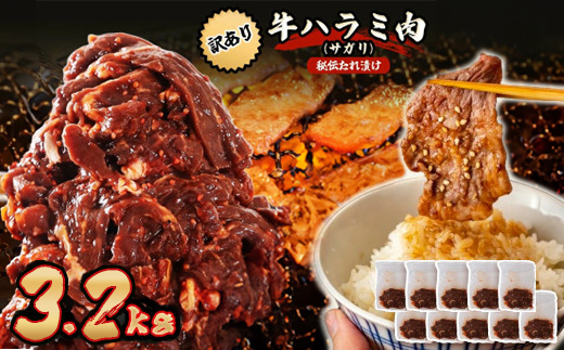 
                  秘伝たれ漬け 訳あり 柔らか牛ハラミ(サガリ)肉 味付け合計3.2kg 小分け10パック_訳あり 牛肉 牛ハラミ サガリ 秘伝たれ漬け 味付け 小分け 人気 美味しい【1718569】
                