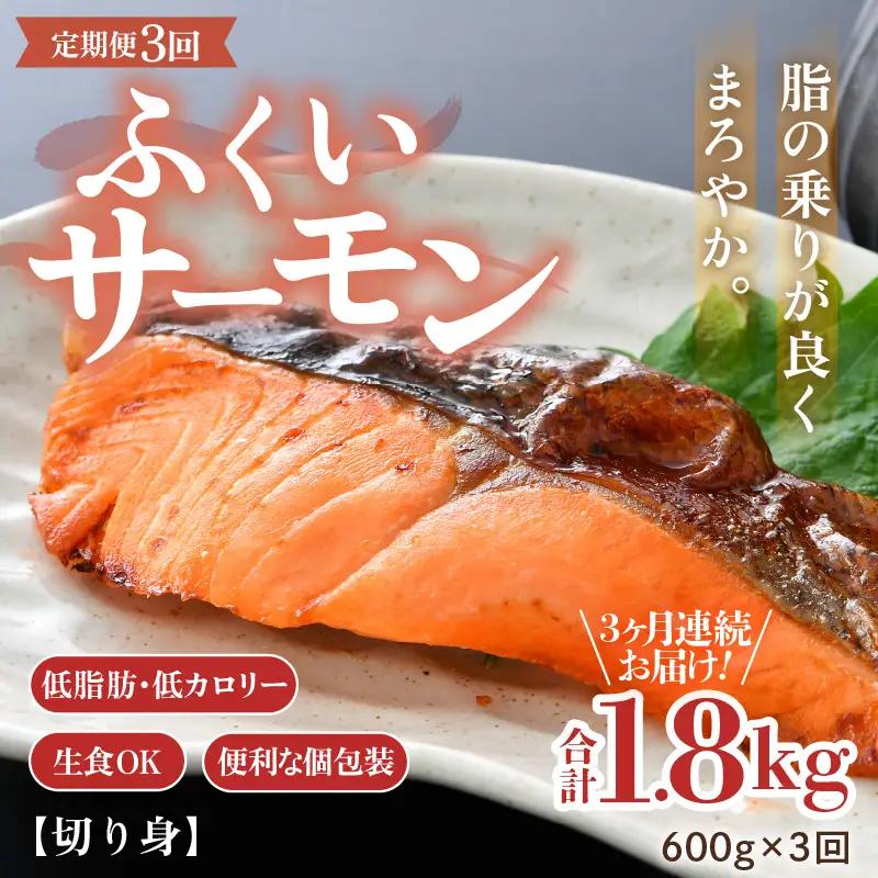 《定期便3回》ふくいサーモン 切り身 100g×6切 計600g＜鮮度抜群！＞ ／サーモン 鮭 [aw002-f002]