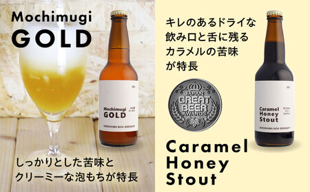 クラフトビール 地ビール 6種類（ピオーネ2種、はっさく、はちみつ、もち麦、お茶）三次市/なちゅbio[APCA002]