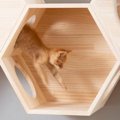 ふるさと納税 藤井寺市 ネコハウス&キャットステップ 六角BOX(1)オープン |  | 02