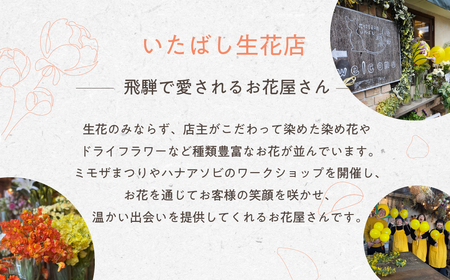 6回定期便 ピンポンマムを中心とした染め花のブーケ 花 花束 ギフト 贈り物 ブーケ 生花 季節の花 菊 赤 ピンク 誕生日 フラワー 雑貨 インテリア 人気 母の日 父の日 切花 菊 キク[Q283