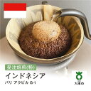 【ふるさと納税】[ 粉 ]#45 受注焙煎！310g バリ アラビカ G-1 珈琲粉 コーヒー粉 自家焙煎 | 珈琲 コーヒー 焙煎 カフェ 大阪府大東市