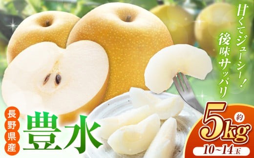 【先行予約】ジューシーで上品な甘さ！長野県産 豊水 約5kg （ 10 ～ 14 玉 ） 【9月中旬頃～発送予定】 | 果物 くだもの フルーツ 梨 なし ナシ 豊水 甘い ジューシー シャリ感 長野県 塩尻市