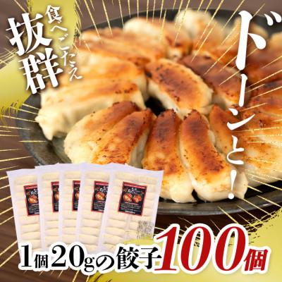 ふるさと納税 糸満市 沖縄高級ブランド豚 濃厚な肉汁が溢れる!美ら島あぐー餃子 20個入(400g)×5パック合計100個 |  | 01