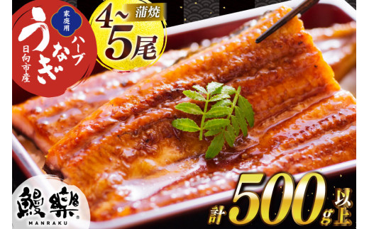 うなぎ ハーブ うなぎ蒲焼 4〜5尾 計500g 以上 タレ 山椒 付き [鰻楽 宮崎県 日向市 452061199] セット 鰻楽 宮崎県産 真空パック 国産 蒲焼き ウナギ 鰻 長蒲焼 冷凍 ◇