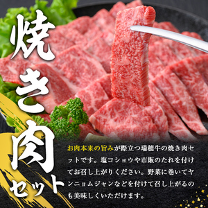 焼肉 セット 約500g 国産 牛肉 【焼肉】 【ho0858】