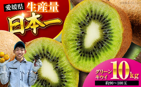 フルーツ 詰め合わせ（みかん・キウイ 各10kg）【11月中旬から順次配送】フルーツ [AGBC008]