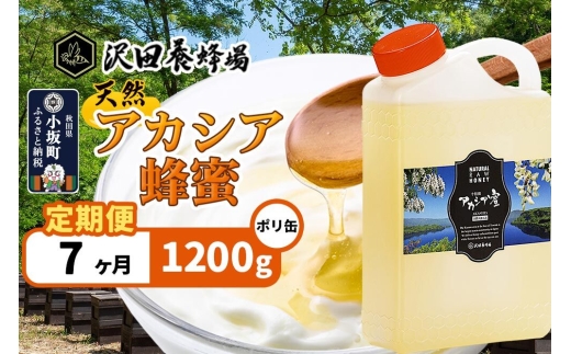 《定期便7ヶ月》はちみつ 天然十和田 アカシア蜂蜜 1200g ポリ缶 [はちみつ 蜂蜜 ハチミツ アカシア 定期便 国産 朝食 沢田養蜂場]