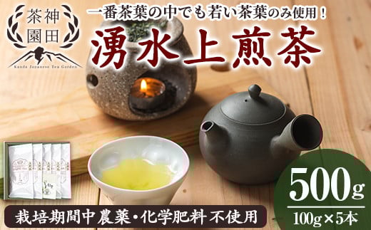 y313 《数量限定》鹿児島県湧水町産！栽培期間中農薬・化学肥料不使用！湧水上煎茶 計500g(100g×5本)  国産 九州産 鹿児島県産 茶葉 お茶 茶 日本茶 緑茶 上煎茶 一番茶 湧水茶 浅蒸し茶 ギフト 贈答 プレゼント 贈り物 令和7年産 新茶【神田茶園】