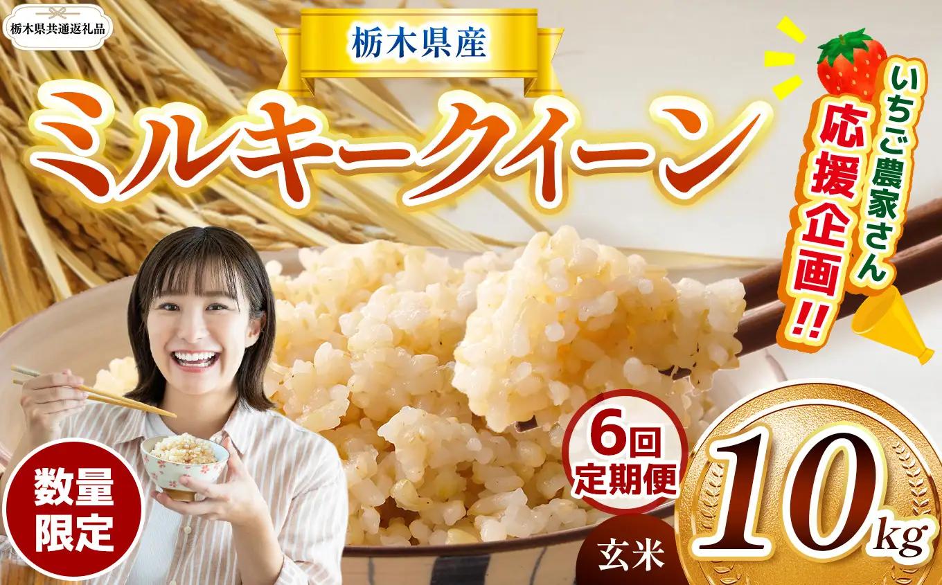 先行予約 【定期６回】令和8年度産 栃木県産 ミルキークイーン 10kg |【栃木県共通返礼品】