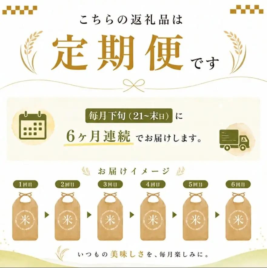 SF0380　11月下旬配送／【6回定期便】令和8年産 ［精米］はえぬき　5kg×6回(計30kg) 農家直送 HO