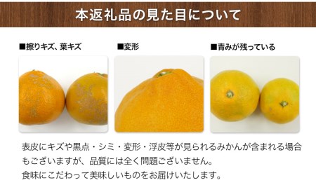 みかん ご家庭用 10kg S-2L 日付指定不可 松田農園 みかん