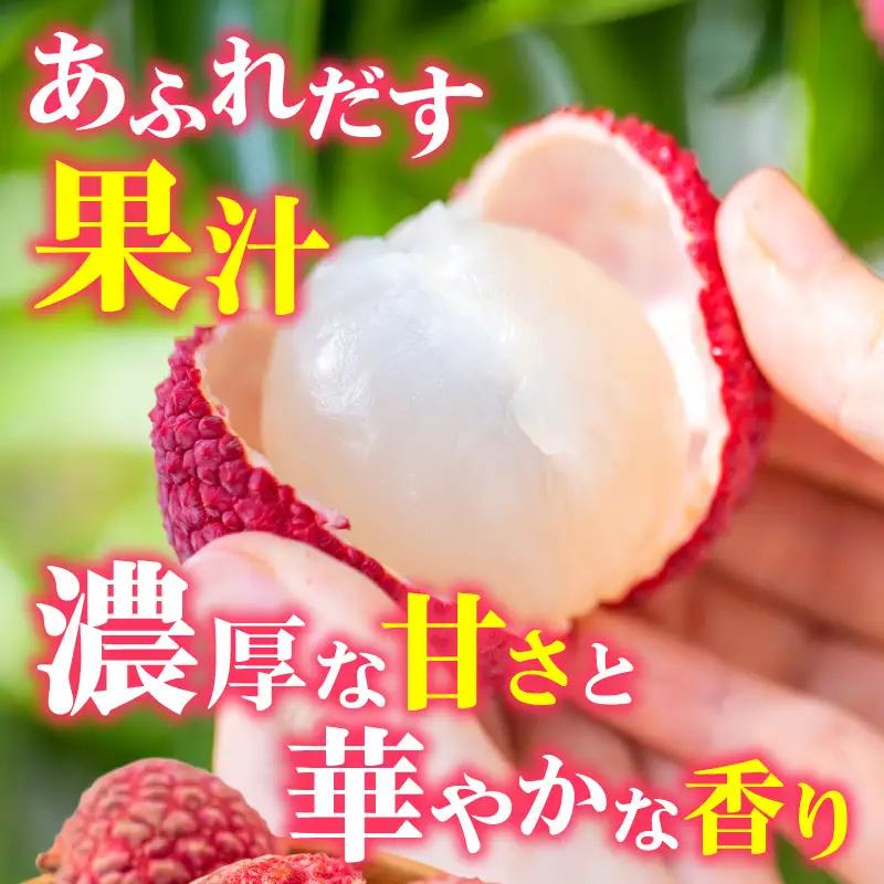 ライチ 9玉 ライチ [2026年発送 宮崎市産 生ライチ 1玉40g以上]