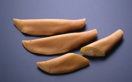 登り鮎 10個 献上かすていら 2本 詰合せ 和菓子 カステラ 岐阜 岐阜市/玉井屋本舗[ANAH004]