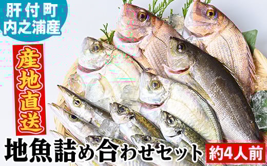 A09002 地魚詰め合わせセット(約4人分) 鹿児島 国産 九州産 産直 産地直送 鮮魚 新鮮 魚 海産物 お刺身 煮つけ 焼き魚【マルケイ水産】
