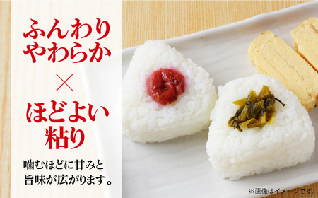 【佐賀県産米】【全6回定期便】 令和6年産 夢しずく 白米 計60kg（5kg×2袋×6回） / お米 精米 ブランド米 ふるさと納税米 /  佐賀県 / 株式会社森光商店 [41ACBW035]