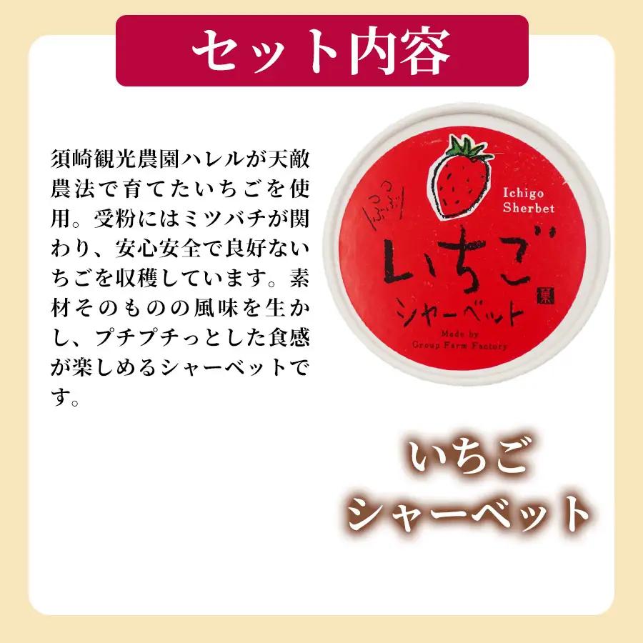 いちご シャーベット 8個 アイスクリーム シャーベットアイス 【シャーベット】