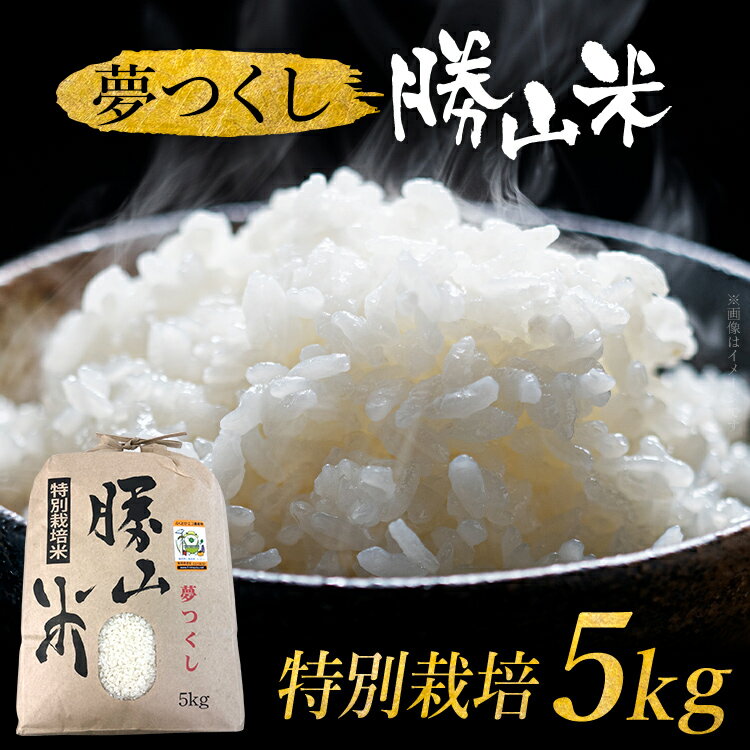 【ふるさと納税】令和7年産 夢つくし 5kg 特別栽培 勝山米 白米 精米 米 ごはん おにぎり 弁当 福岡県産 特別栽培米 福岡県 福岡 九州 グルメ お取り寄せ