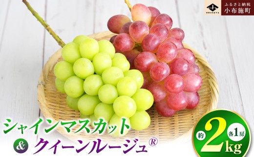 シャインマスカット＆クイーンルージュ_ 約2kg 3～4房 ［小布施屋］ 果物 フルーツ ぶどう 葡萄 令和8年産【2026年9月下旬～11月上旬発送】 ［A-703］
