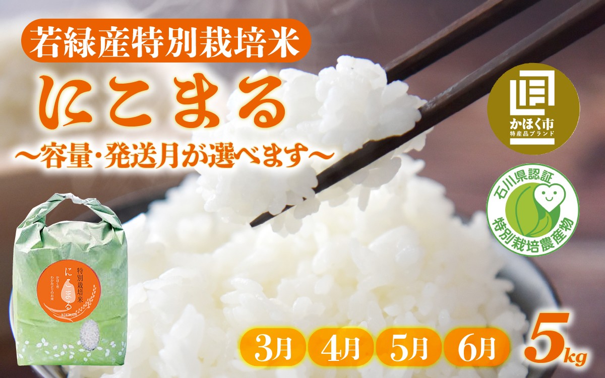 
                  【令和7年産】【発送月が選べる】若緑産 特別栽培米「にこまる」5kg【2026年3月～6月発送】 / 令和7年産 米 単一原料米 ニコマル 国産 こめ コメ 食品 常温 ご飯 お取り寄せ 5キロ
                