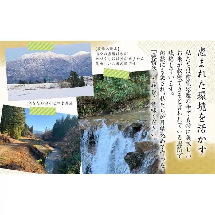 【生産者直送】【定期便６ヶ月】【令和8年　新米予約 】南魚沼産こしひかり 白米5kg×全6回　合計30kg   オグライスファーム＜コシヒカリ 精米 農家直送＞【2026年10月中旬から1ヶ月以内に順