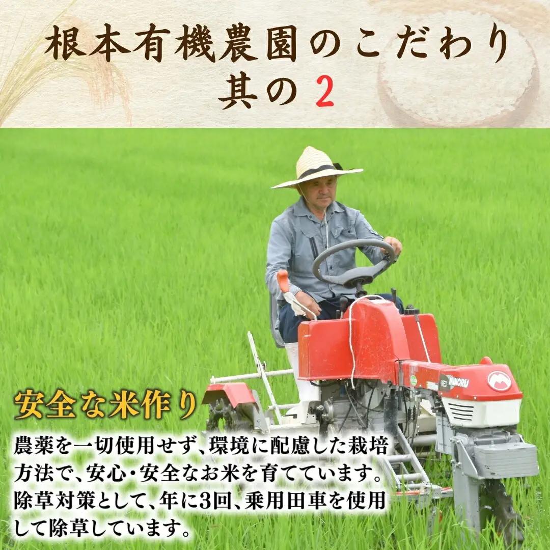 JAS有機 コシヒカリ 玄米 5kg 令和7年産|根本有機農園 南相馬