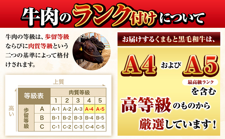 くまもと黒毛和牛 ウデ・モモスライス 2000g (500g×4パック) 牛肉 冷凍 《30日以内に出荷予定(土日祝除く)》 くまもと黒毛和牛 黒毛和牛 冷凍庫 個別 取分け 小分け 個包装 モモ ス