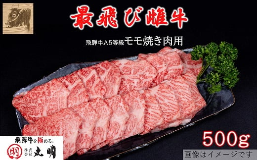 ＜最飛び雌牛＞飛騨牛A5等級モモ焼き肉用　500g【1520153】