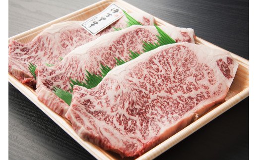 伊万里牛 サーロインステーキ 4枚 合計1.2kg 001-J493