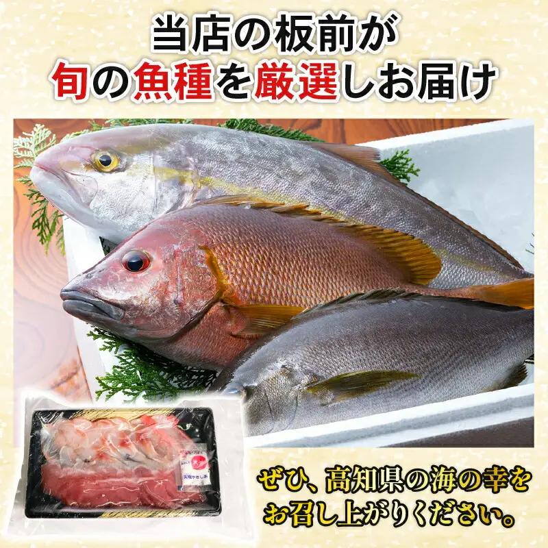 【 刺身 】 刺身定期便3ヶ月