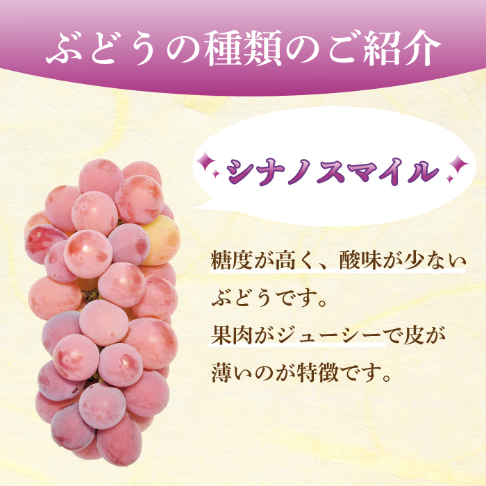 【先行受付】みのる農園おまかせ ぶどう食べくらべ（4房）葡萄 ブドウ 詰合せ 果物 フルーツ 2025年7月～10月上旬お届け 広島県三原市 206001