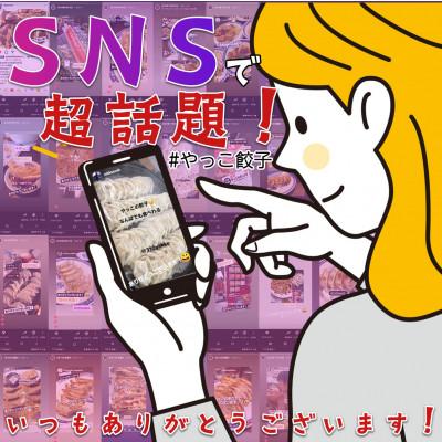 ふるさと納税 忠岡町 やっこ餃子 |  | 02