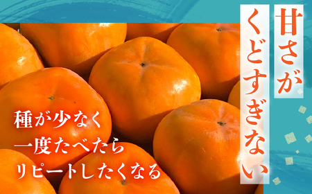 ≪先行予約≫ 数量限定 生産量日本一 愛知県豊橋産 次郎柿 秀品 贈り物にも！ 6.5kg 柿 甘柿 果物 フルーツ 10月 11月 愛知県 豊橋市 ビタミンC 高栄養価 食物繊維 旬をおとどけ