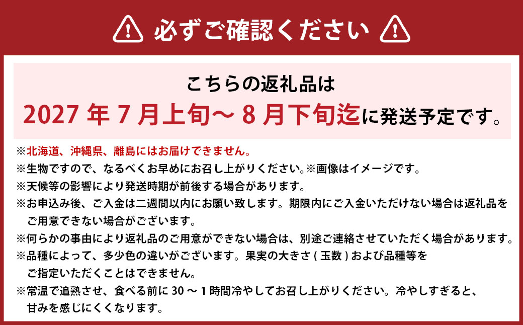 岡山白桃 エース 4～6玉 約1kg 岡山県産