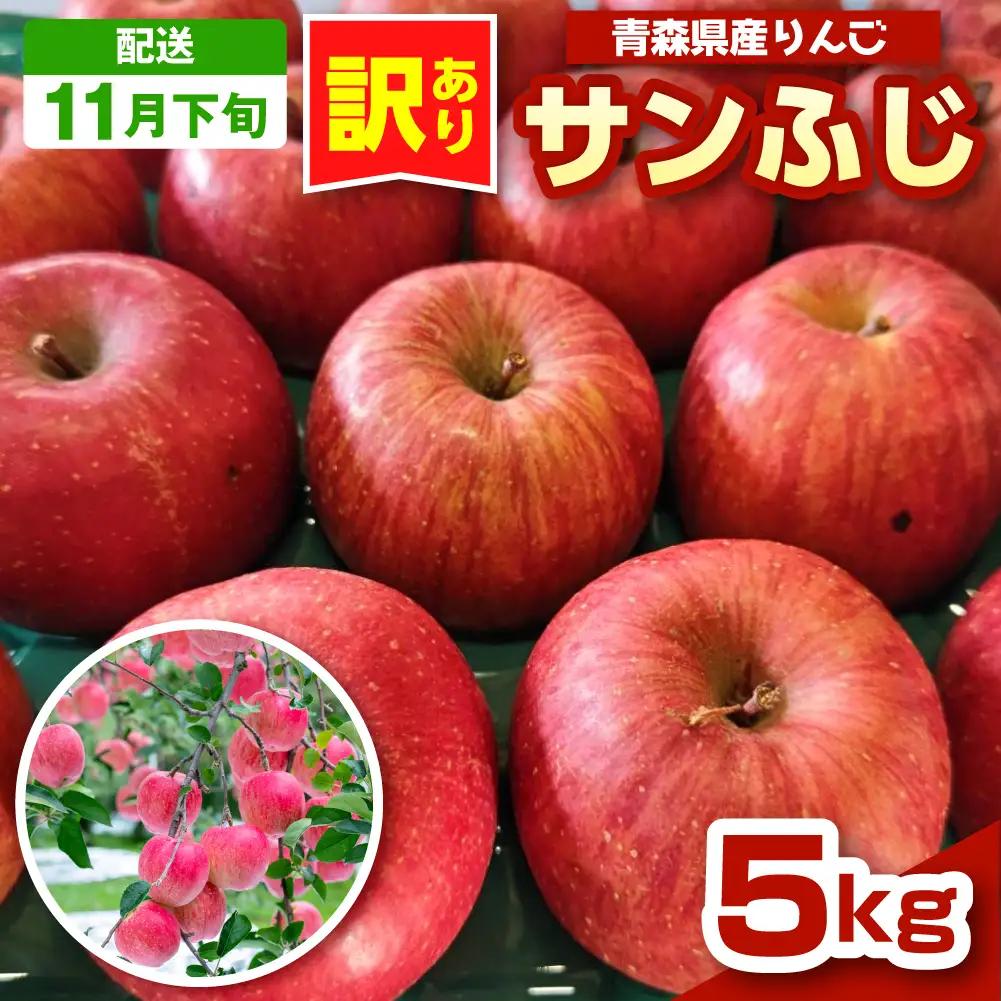 【2026年11月下旬発送】 青森りんご 約5kg サンふじ 《訳あり》 りんご