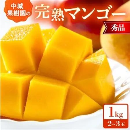 【2026年7月から順次発送・化粧箱】中城果樹園の完熟マンゴー 秀品1.0kg(2～3玉)【配送不可地域：離島】【1673411】