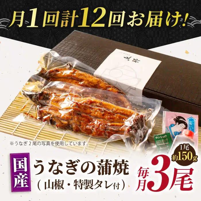 【12回定期便】国産上うなぎ蒲焼 3尾 約150g×3パック  [AVBH016]魚邦 定期便