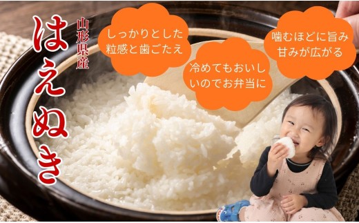 令和8年産 新米 はえぬき 10kg (5kg×2）清流寒河江川育ち 山形県産 米 精米 お米 山形県 送料無料