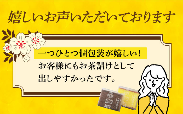 【小分けで食べやすい】カット包装カステラ　2箱入（プレーン・チョコレート） ≪小値賀町≫ 【株式会社文明堂総本店】 カステラ かすてら 菓子 お菓子 和菓子 常温 [DBF014]