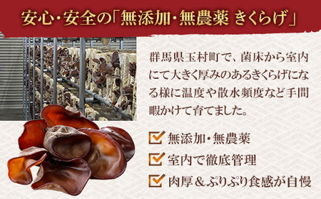 群馬県産 生 乾燥きくらげセット (こたちゃんきくらげ) 無添加 無農薬 国産
